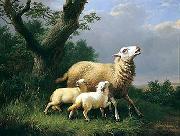 unknow artist Sheep 074 oil painting on canvas